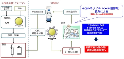 ～細胞治療による安価で有効な革新的血管新生療法の開発を目指して～　包括的高度慢性下肢虚血（CLTI）患者を対象とした自家末梢血単核細胞と移植用細胞足場Injectable cell scaffold（ICS-001）の併用による医師主導治験