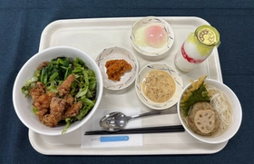 航空自衛隊奈良基地
創立70周年記念メニュー「奈良基地丼」試食会のご案内