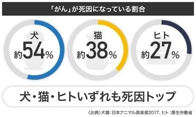 イヌの死因の54%が「がん」