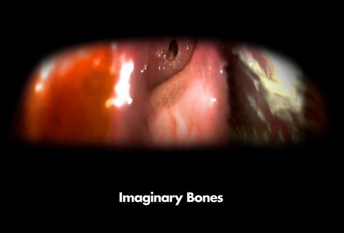 岸 裕真 個展「Imaginary Bones」メインビジュアル