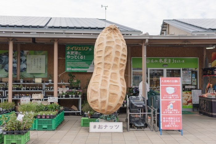 道の駅木更津うまくたの里