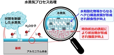 アルミなど軽金属の高強度・高耐食化を両立する 水蒸気を用いた表面処理技術を開発