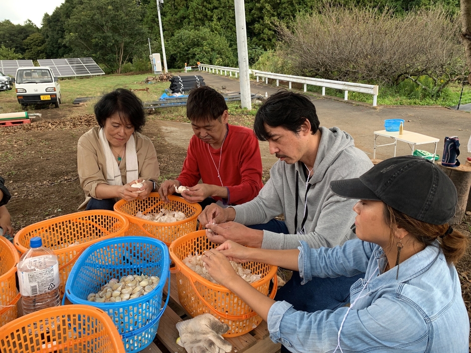 にんにくの種植え体験(3)
