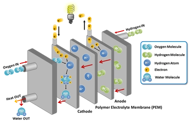 燃料電池膜世界市場レポート：主要企業、ランキング、成長予測2026-2032