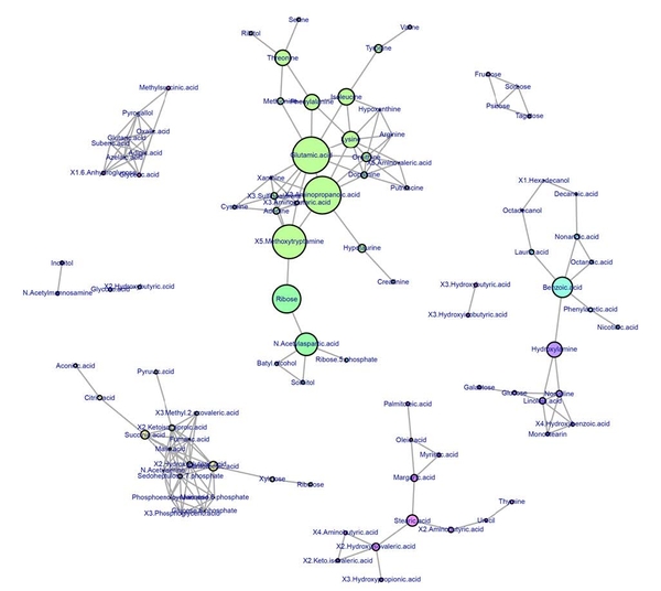 図3 相関ネットワーク解析の結果　｜　ここでは相関係数（R）＞0.75を基準に設定した。各ノード（円）の大きさは媒介中心性指標に応じてサイズが大きく示されている。