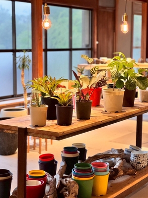 展示色見イメージ(1)