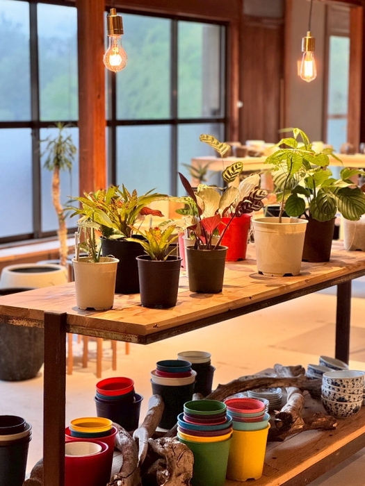 展示色見イメージ(1)