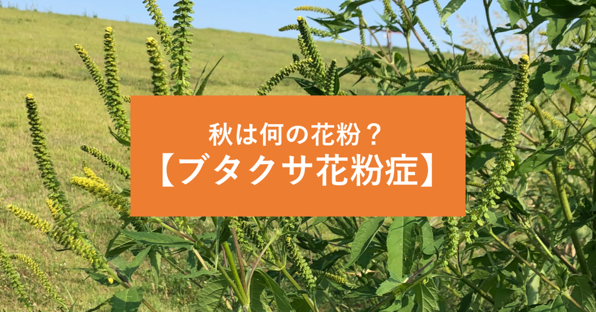 秋の鼻グズグズ対策に ブタクサ花粉症 特集記事を公開 8月9月10月の花粉は何 症状の特徴 おすすめ花粉症薬 対策法とは Newscast