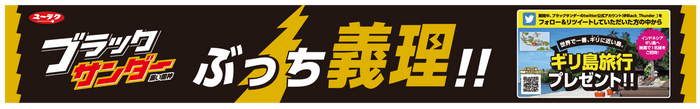 今回掲出予定デザイン