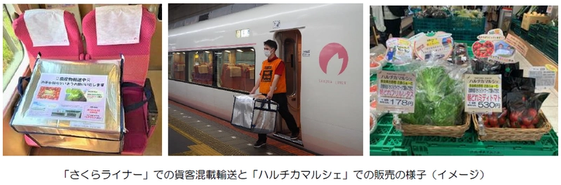 （ご参考） 「さくらライナー」での朝採れ野菜の貨客混載輸送の 本格運用を開始しました！