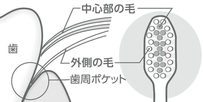 図1:付替システマ