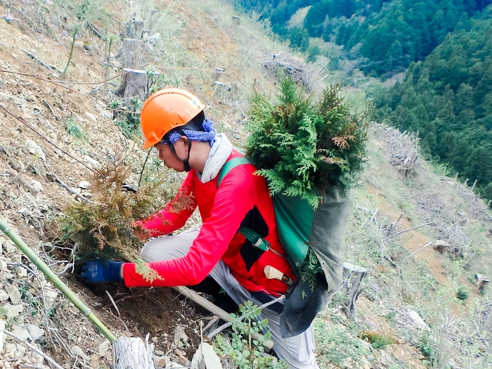 植栽の時期は春と秋。1本1本植えていきます