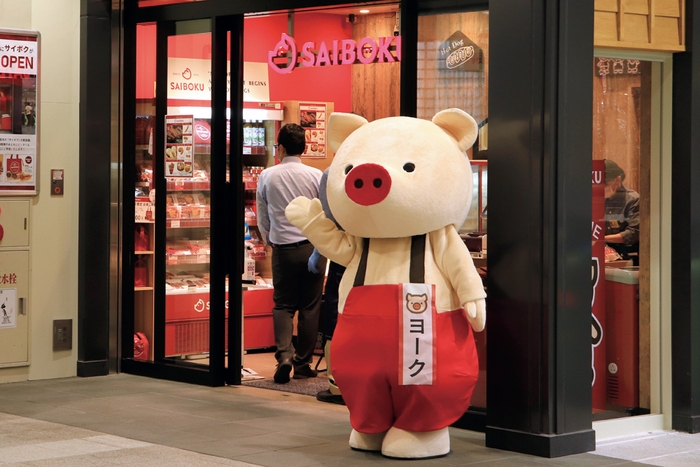店舗 ヨーク