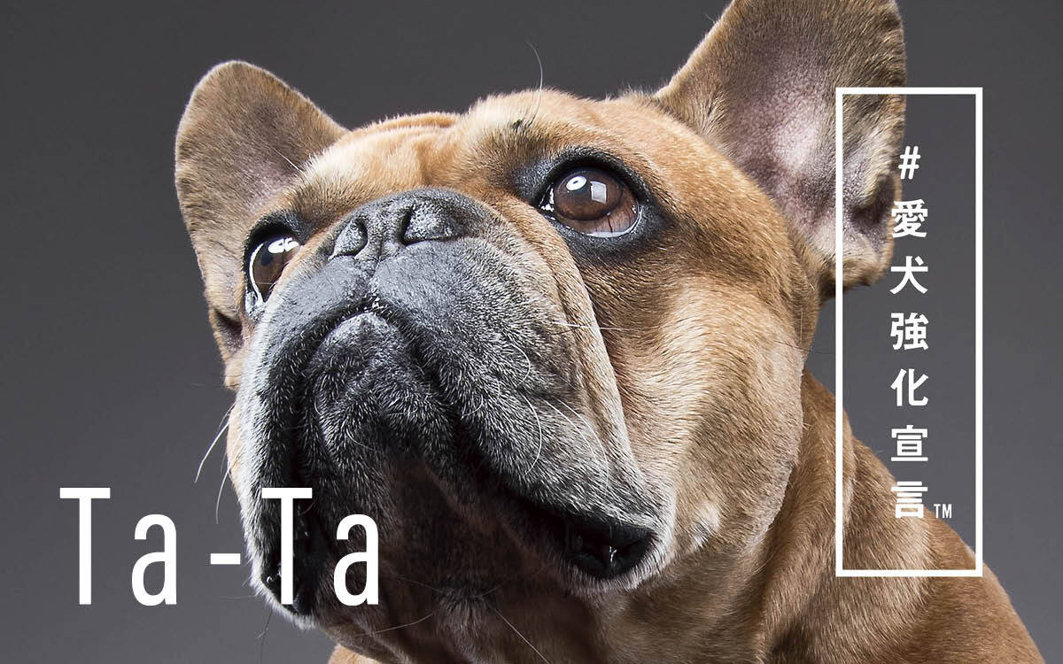 French Bulldog Life 保護犬のためのチャリティイベント Fuga Summit 19 に協賛出展 Rakanu株式会社のプレスリリース