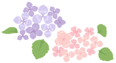 紫陽花イメージイラスト