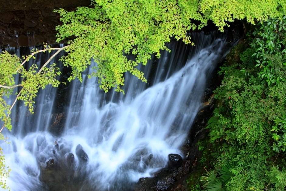木々と水が爽やかな空気を運んでくる