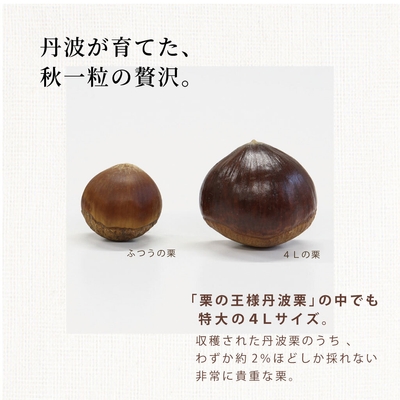 希少な4Lサイズの特大丹波栗を使用