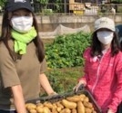 みら女農業部(2)