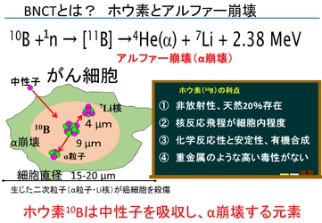 難治性の"がん"は甘いものがお好き！　～膵がんへホウ素を使った新たな治療法開発！～