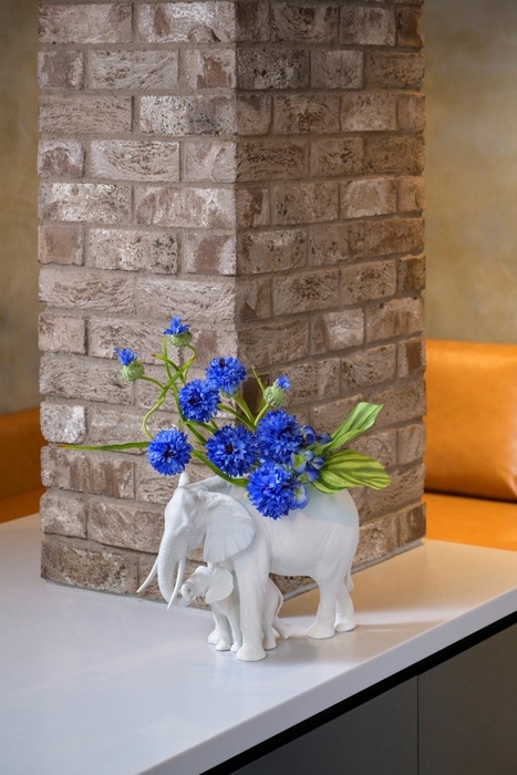 CORN FLOWER × ELEPHANT GARDEN