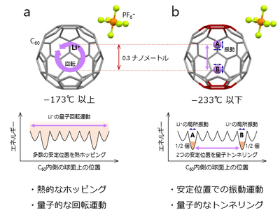 図2 C60ケージに閉じ込めた1個のリチウムイオンの運動の温度変化 a:100K(-173℃)以上の高温、b:40K(-233℃)以下の低温