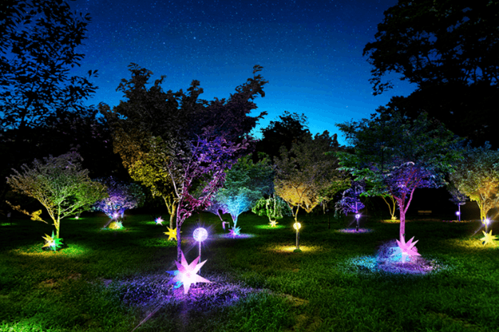 ミライの桜ライトアップ（イメージ）