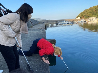 出会える場所は「漁港」。岸壁の上から、小さな赤ちゃん魚を見つけてタモ網だけで採集する香里武さん。