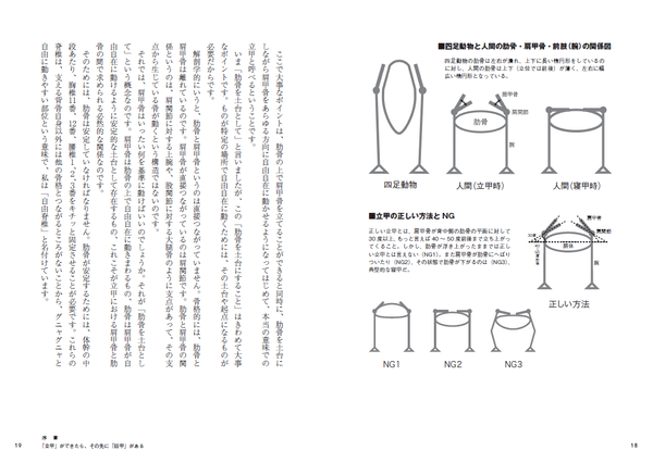 四足動物と人間の助骨・肩甲骨・前肢（腕）の関係図