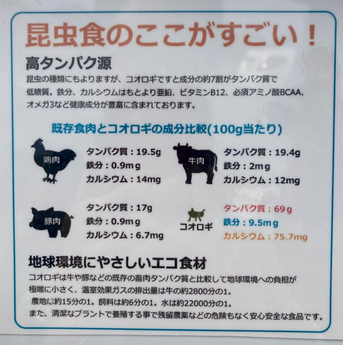昆虫食のすごさ