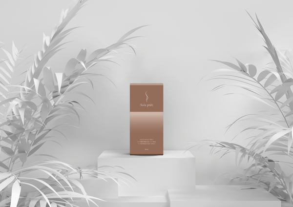 Sois prêt:フランス語で「整う」