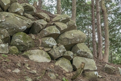 姉小路氏城館跡