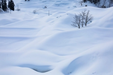 雪国新潟生まれの乳酸菌ウオヌマ株ってナニ！？雪室から生まれた特殊な機能を持つ植物性乳酸菌が酒粕を全く新しいスーパーフードに進化。新潟発の発酵ドリンク「Haccoシェイク」を赤坂にて提供開始