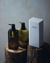 健やかな頭皮と美しい髪を生み出す新しい着想の 「MOUNTAIN＆WATER」ヘアケアシリーズが4月8日に新発売