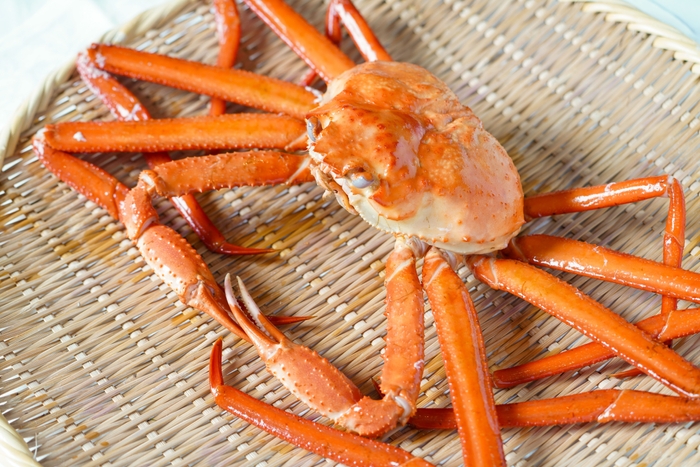 男鹿産の紅ズワイガニ