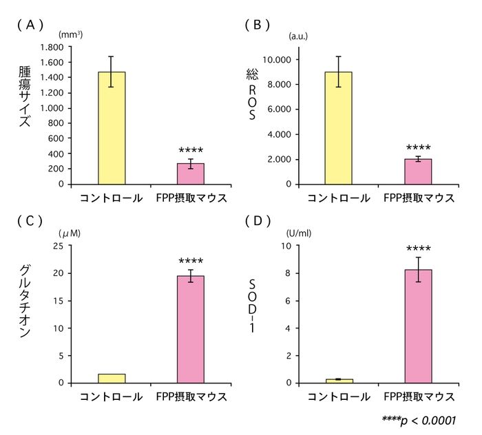 (図4)FPP(パパイヤ発酵食品)の腫瘍増殖抑制効果と抗酸化効果