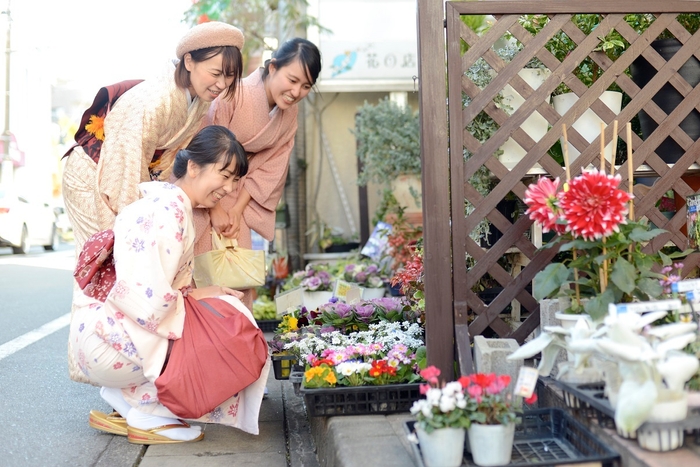 きものでお散歩　山ぼうし