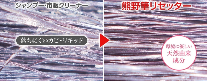 拡大顕微鏡でもこの違い!