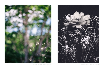 共同写真展参考作品「FLOWER」左:写真学科4年 JIA NAN、右:写真学科4年 髙橋 桃夏