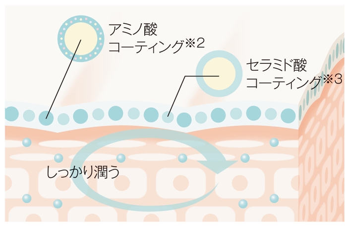 美容成分浸透肌図イメージ