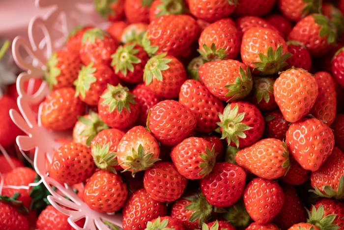 ▲いちご好き必見!フレッシュいちごも食べ放題