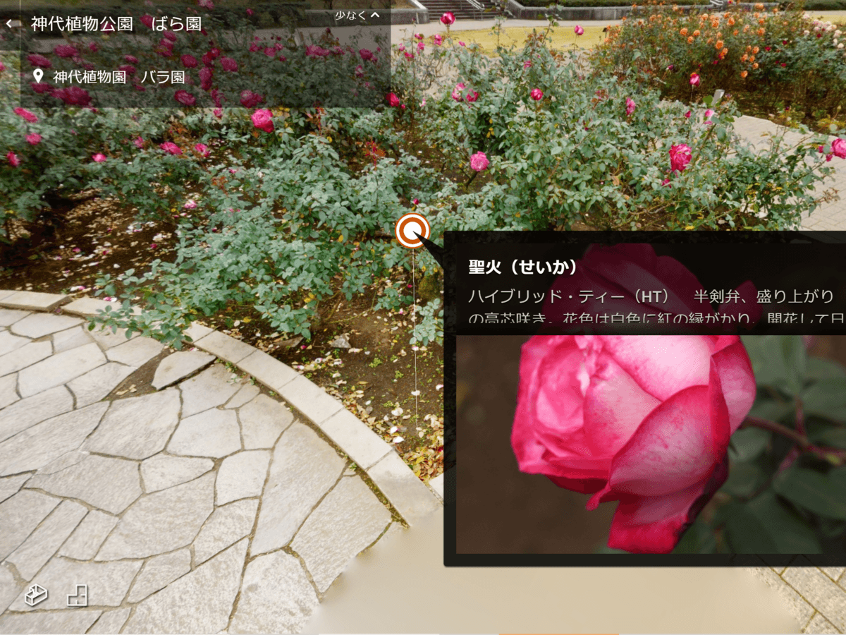神代植物公園 閉園中 Greensnapと連携 オンラインばら園 を開始 Newscast 神代植物公園 閉園中 Greensnapと連携 オンラインばら園 を開始 Newscast