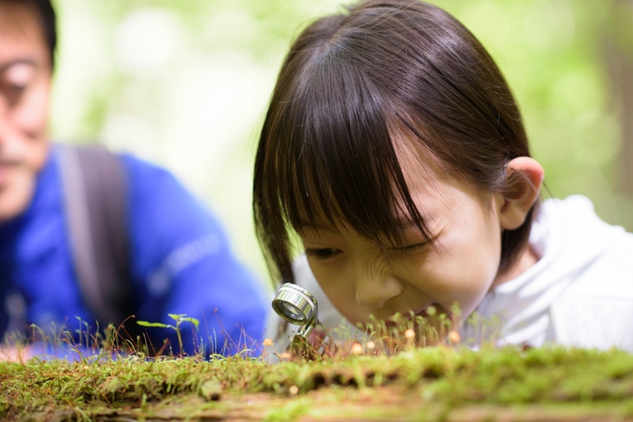 【奥入瀬渓流ホテル】苔キッズ_女の子