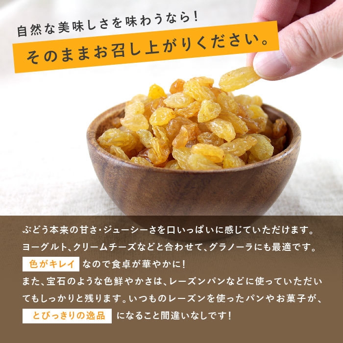 ゴールデンレーズン(4)