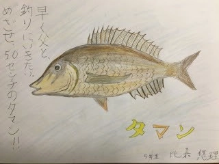海に行けない子どもたちを応援！ 「泳げ！みんなのお魚プロジェクト」を開催 子どもたちが描いたイラストがTVCMに!?
