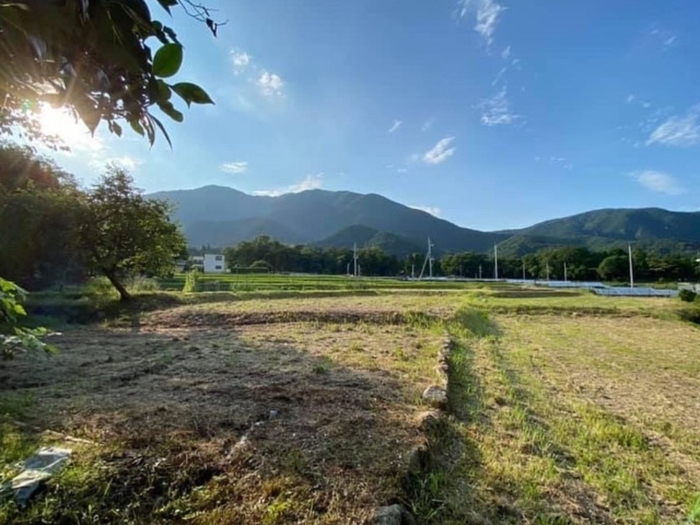 裏の広場＆畑スペース