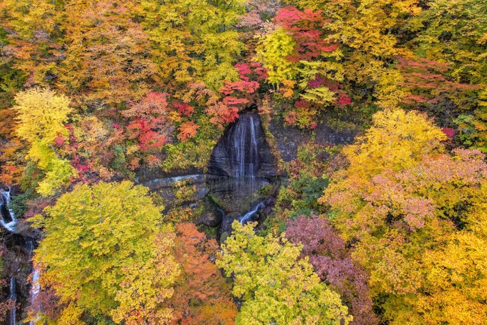 白糸の滝