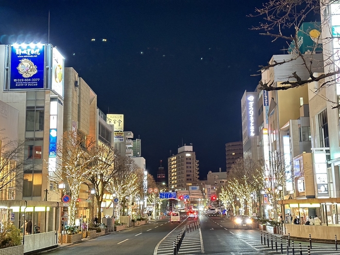 もりおかイルミネーションブライト2023-2024 駅前