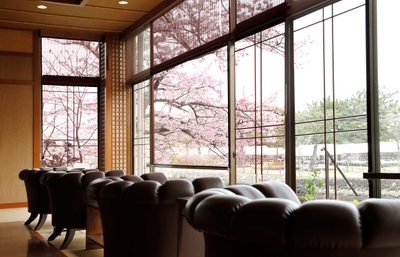 茶莵里のカウンターからの桜