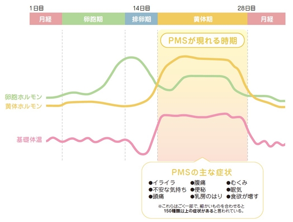 図1：PMSが現れる時期と主な症状