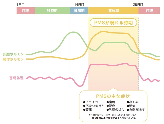 図1：PMSが現れる時期と主な症状